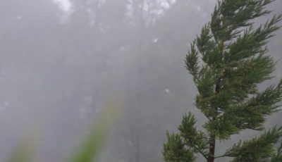 lluvia y viento 1
