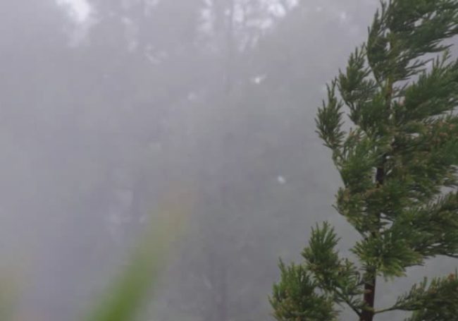 lluvia y viento 1