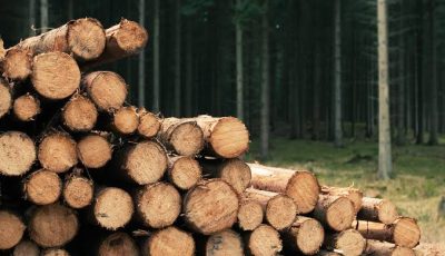 madera