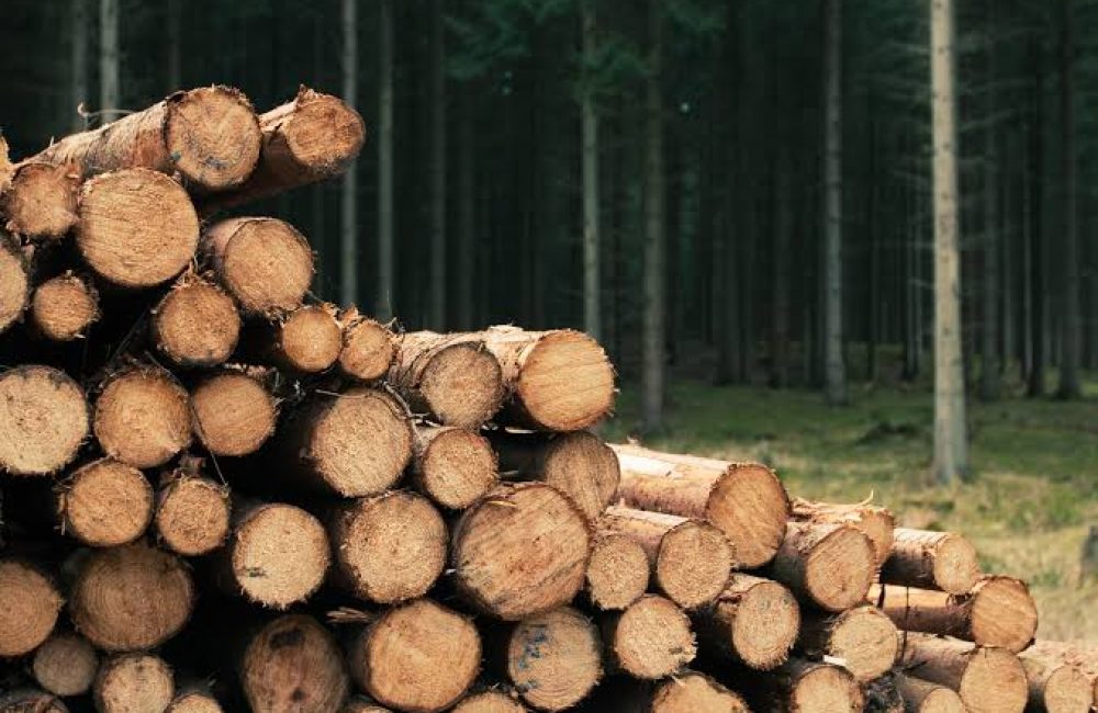madera