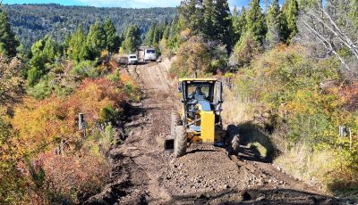 maquina treveli callejon