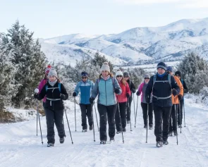 marcha-nordica
