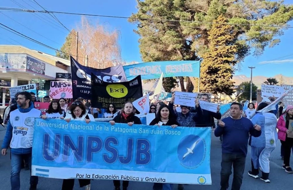 marcha universitaria 2
