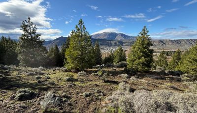 munciopalidad de esquel