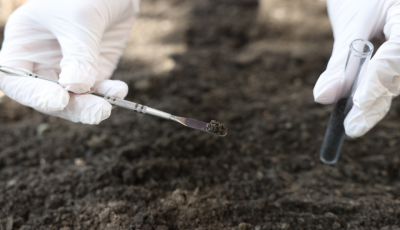 nahuelpan contaminacion1