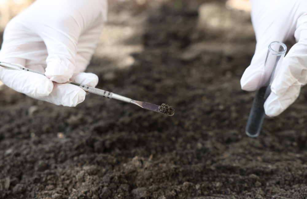 nahuelpan contaminacion1