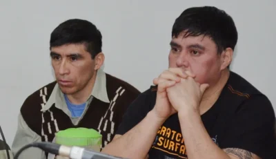 napal y painepil