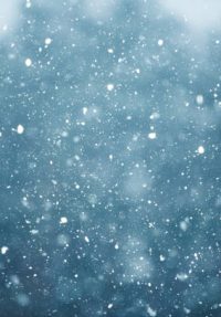 snowfall on the blurred background