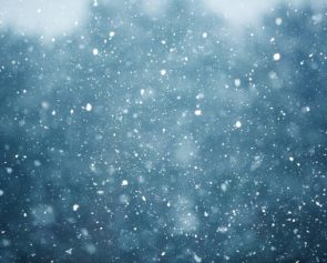 snowfall on the blurred background