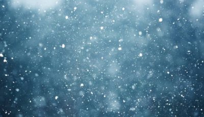 snowfall on the blurred background