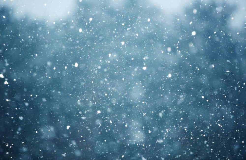snowfall on the blurred background
