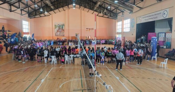 newcom trevelin pv10