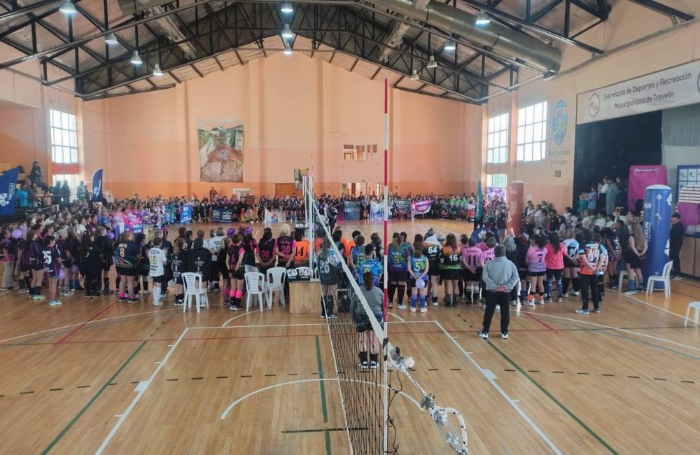 newcom trevelin pv10