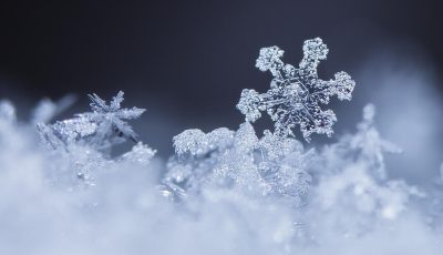 nieve 1