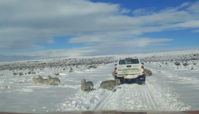 nieve en el sur 3