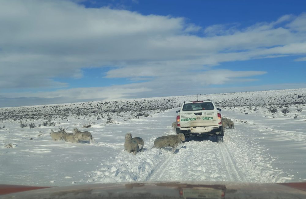 nieve en el sur 3