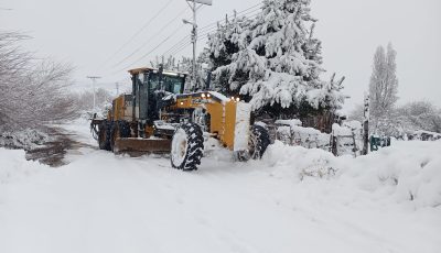nieve trevelin