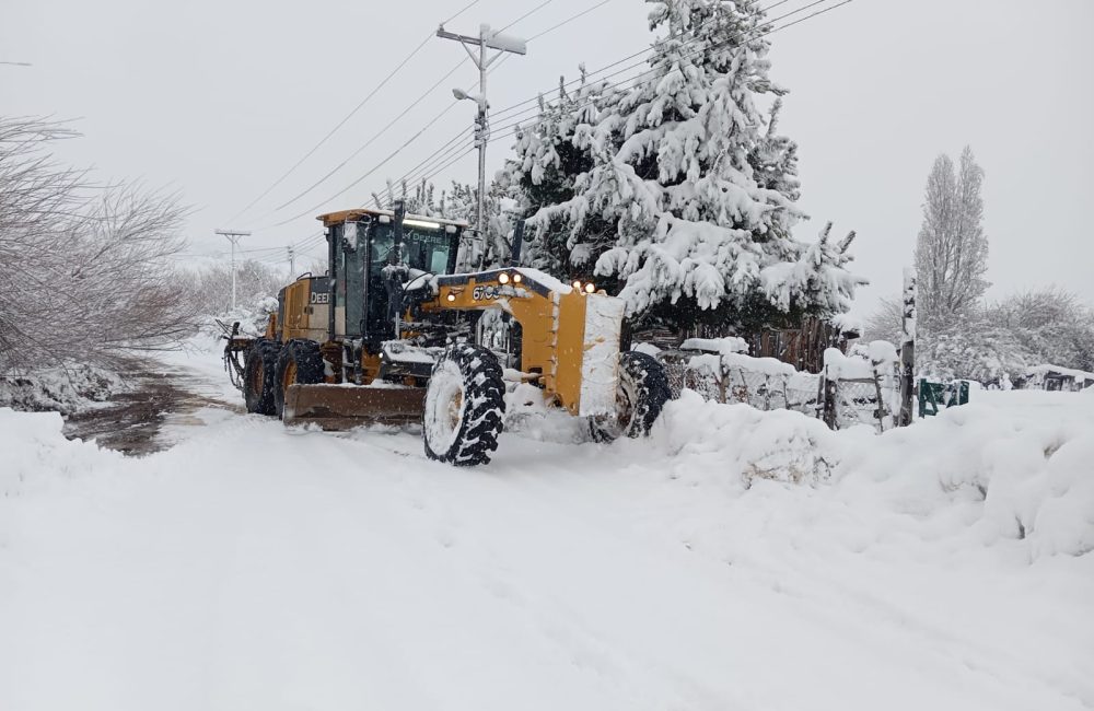 nieve trevelin