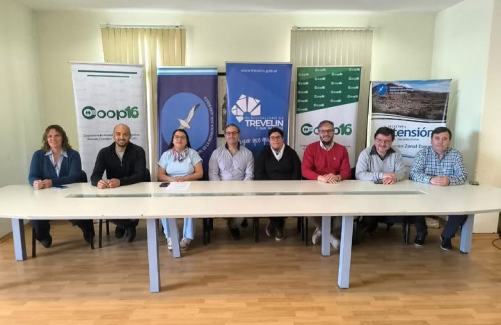 nueva capacitacion coop