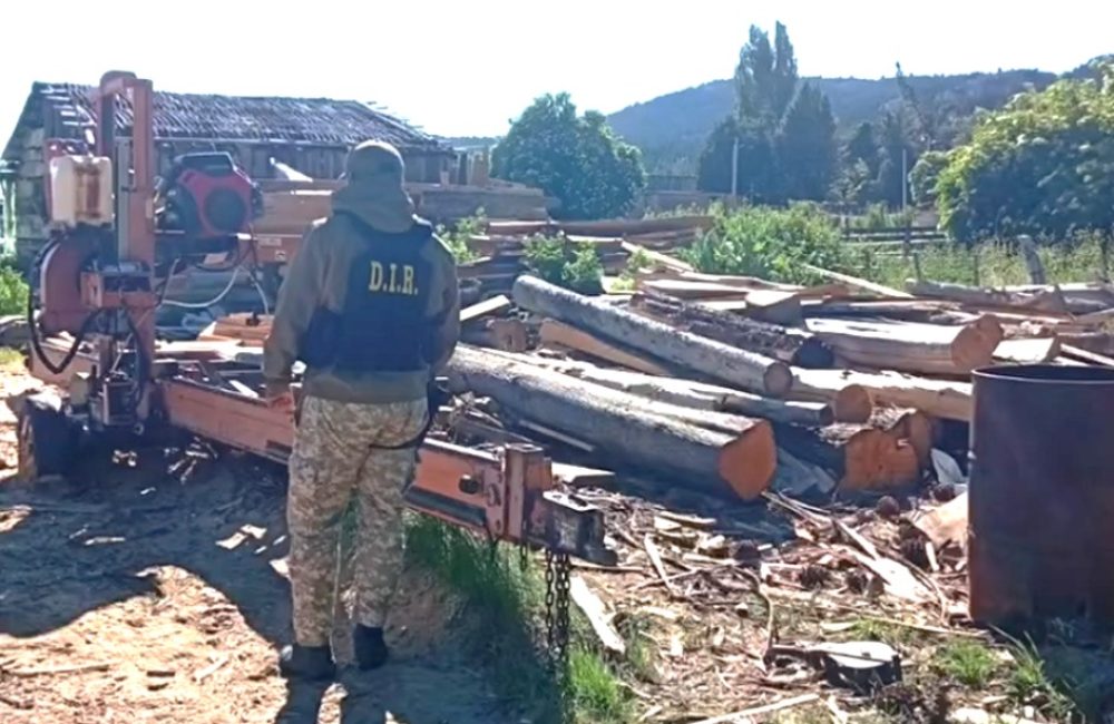 operativo escudo ecologico 01