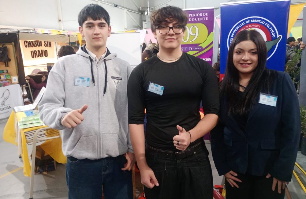organizadores 791