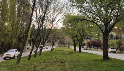 paisaje