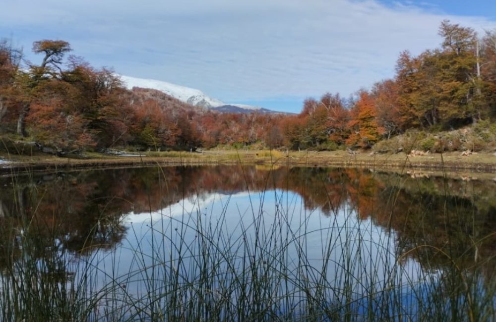 paisaje 52