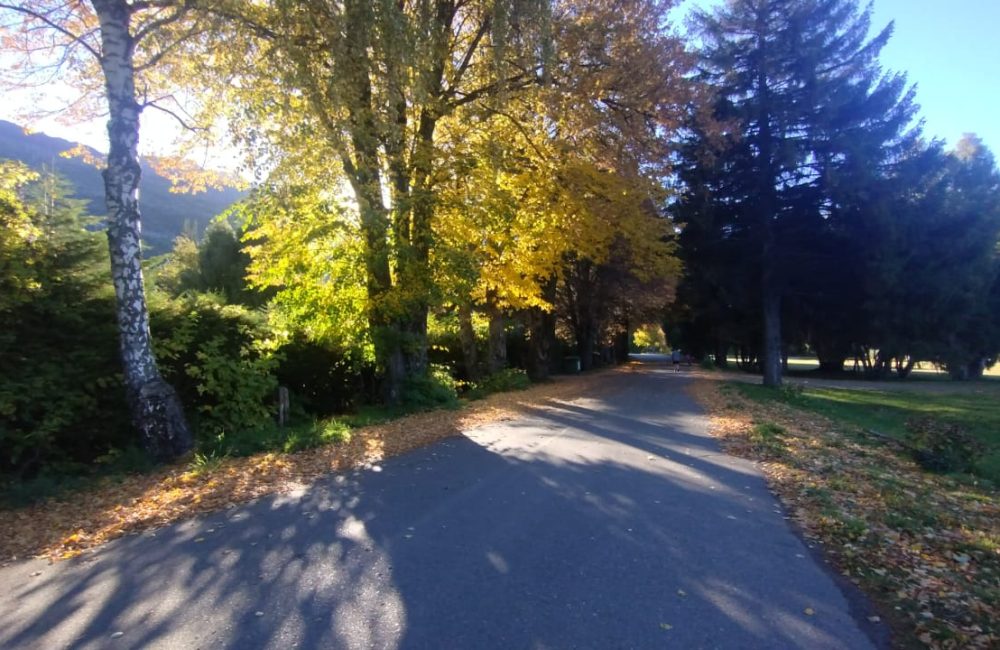 paisaje 54