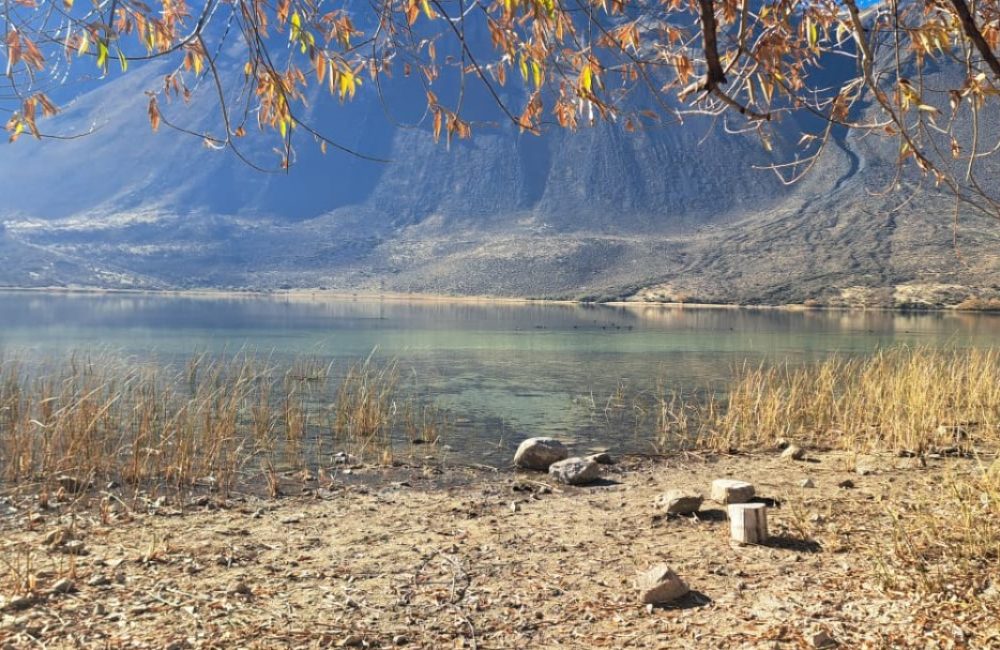 paisaje 58