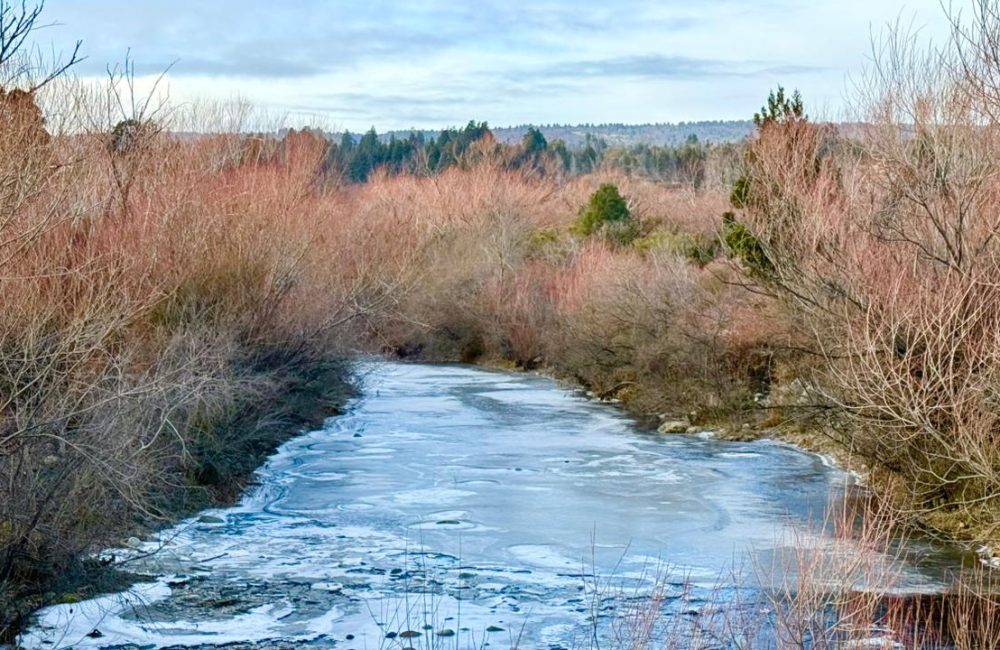 paisaje 69