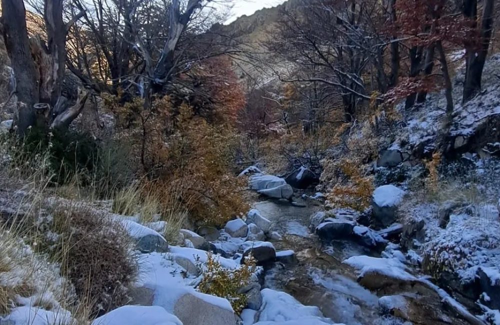 paisaje 70