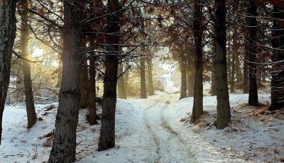 paisaje 73