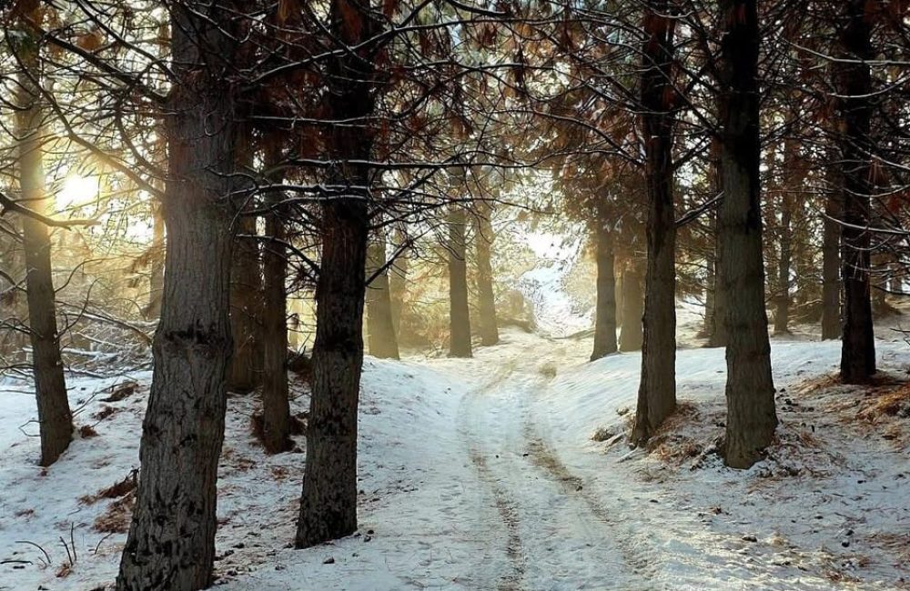 paisaje 73