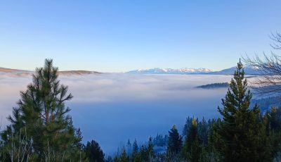 paisaje neblina 1