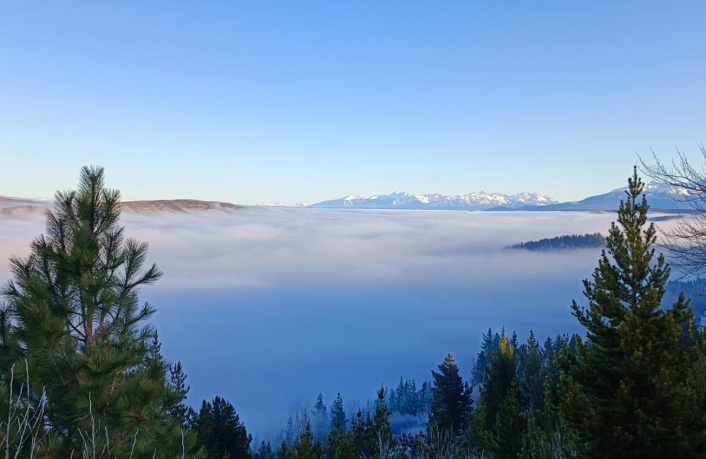 paisaje neblina 1