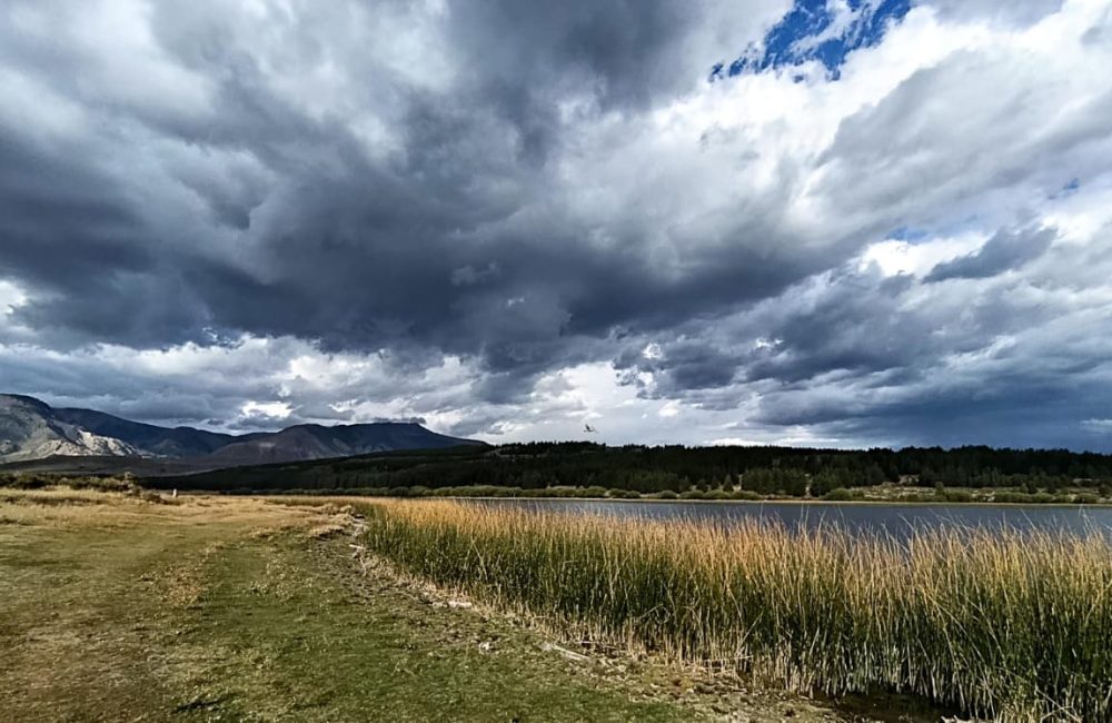 pan cordón esquel la zeta 02