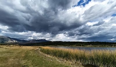 pan cordón esquel la zeta 02