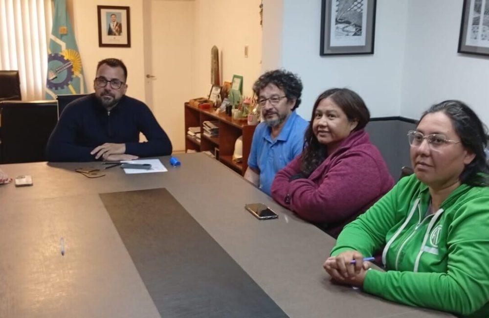 pariatria municipal 17.11