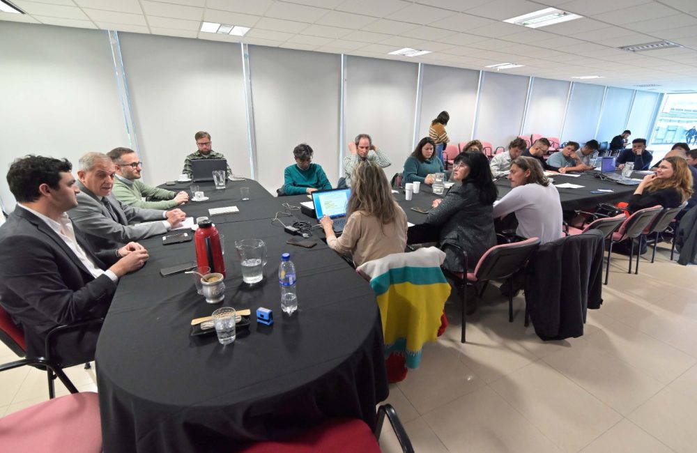 paritaria 15 de julio 2025