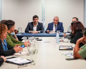 paritaria docentes 4