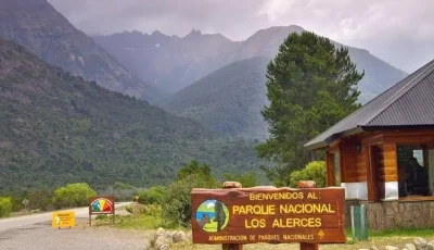 parque nacional los alerces