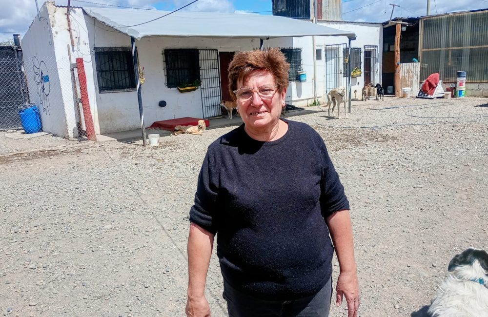 patricia giacobone 17 de enero