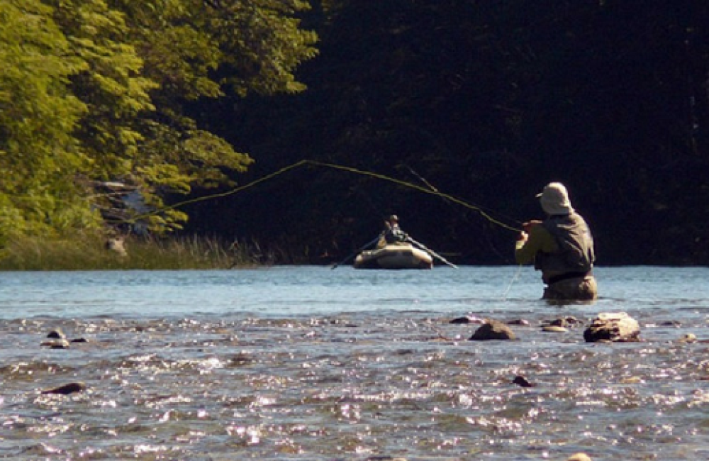 pesca
