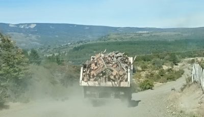 plan calor trevelin leña (4)