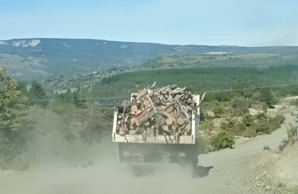 plan calor trevelin leña (4)