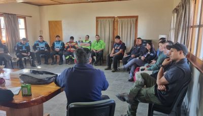 plan contingencia cholila (1)