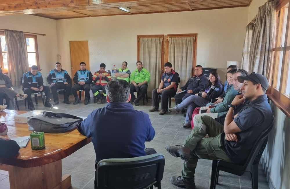 plan contingencia cholila (1)
