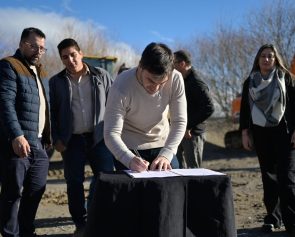 plan galina sistema cloacal