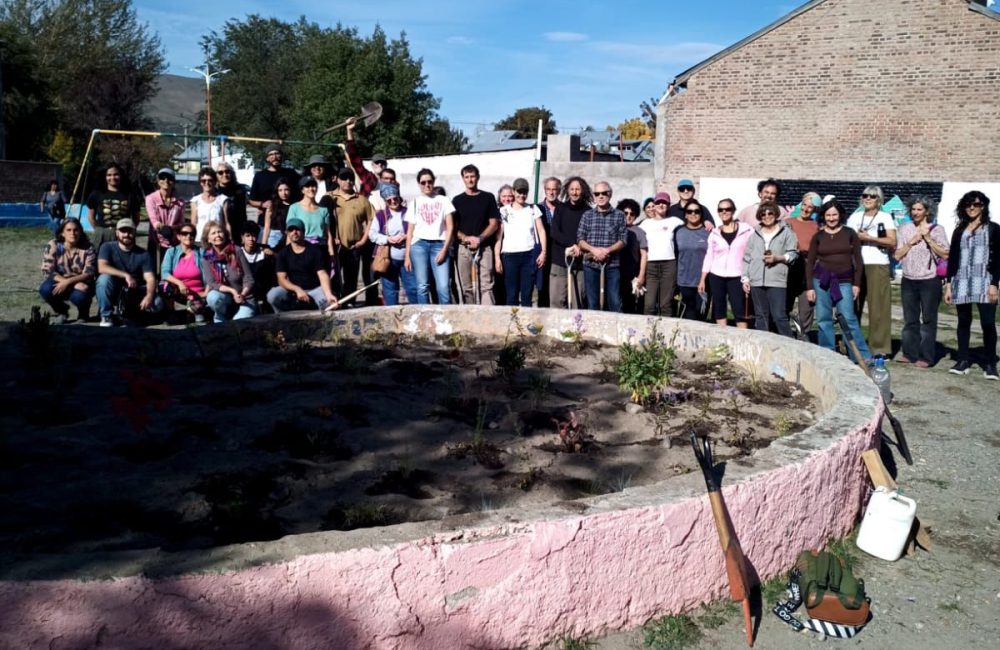 plantacion 1