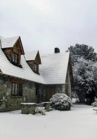 pnla nieve 4